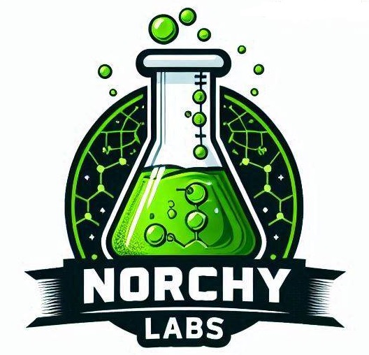 Norchy Labs Logo